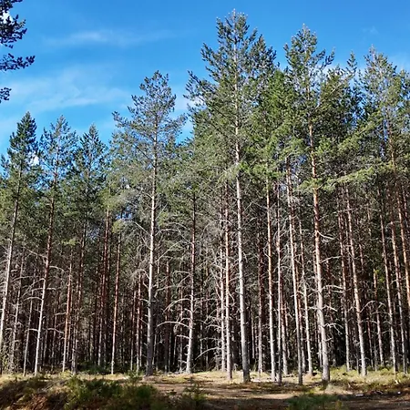 Holiday home Lillelordag - Stunning With Sauna Vradal
