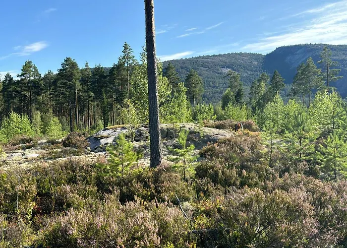 Lillelordag - Stunning With Sauna * Vradal