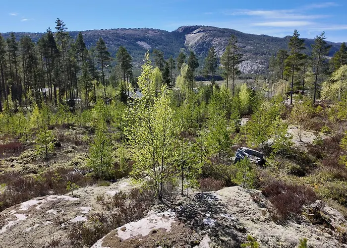Lillelordag - Stunning With Sauna