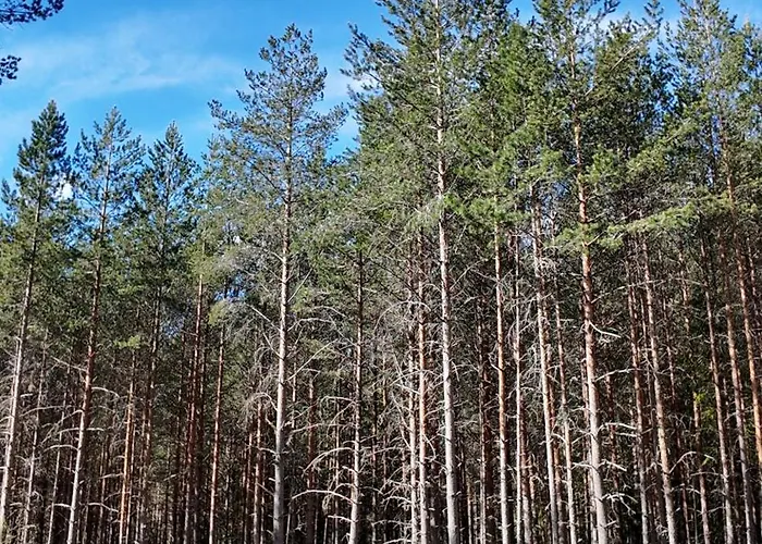 Holiday home Lillelordag - Stunning With Sauna Vradal