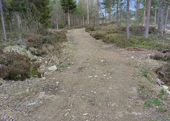 Lillelørdag - Stunning With Sauna *